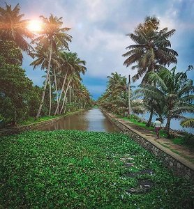 4 Days Munnar Alleppey Tour Package